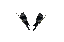 Găng Huyền Thiết