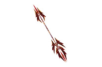 divinestaffofarchangel